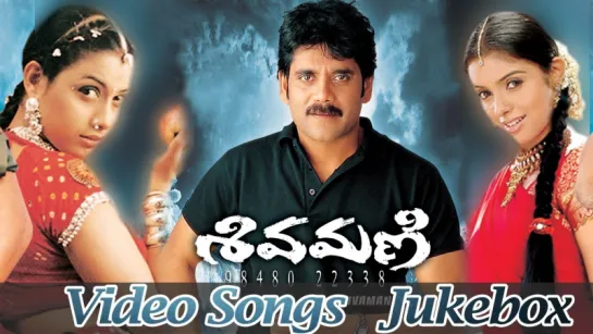 "Shivamani" 2003 Telugu Movie Full Video Songs Jukebox  Nagarjuna Akkineni, Asin, Rakshitha