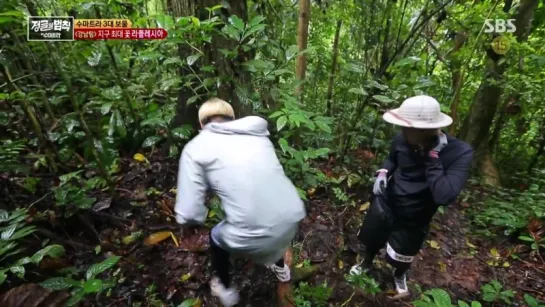 12.05.2017 | "Law Of The Jungle in Sumatra" Ep. 264