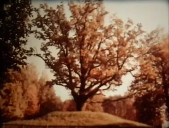 В Пушкинском заповеднике (А.С. Пушкин) / 1989