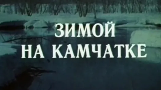 Зимой на Камчатке / 1977 / ТО «ЭКРАН»