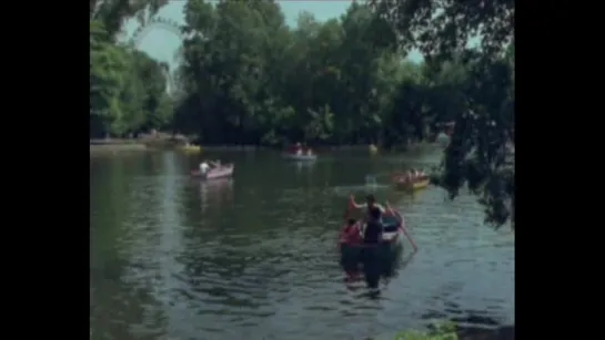 В городском саду (Москва) / 1985