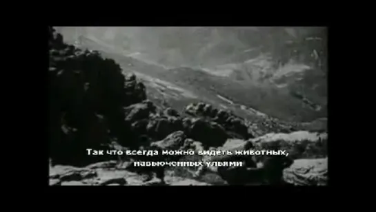 Земля без хлеба (Tierra sin Pan) Луис Бунюэль 1932