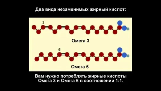 Спортивное питание. Часть 4. Витамины, Омега-3 и прочее