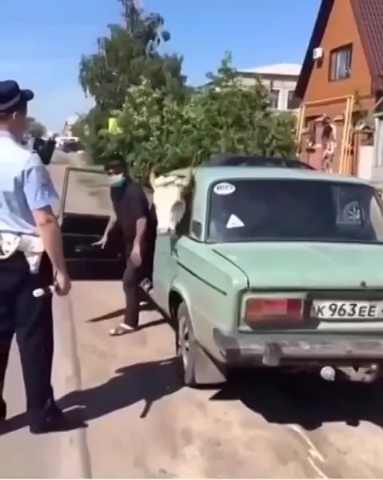 Видео от AUTO