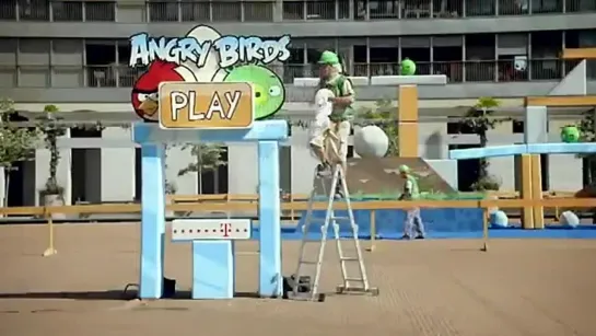 Angry birds вживую