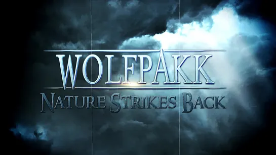 Wolfpakk - Nature Strikes Back