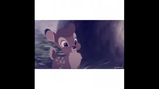 paul x bambi