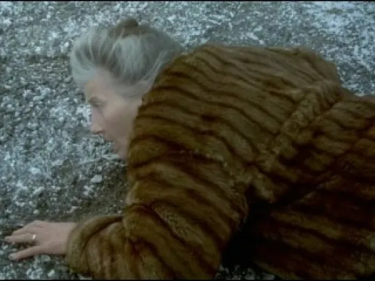 Зимний гость (1997, The Winter Guest)