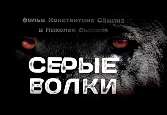 Документальный фильм "Серые волки". 2016.