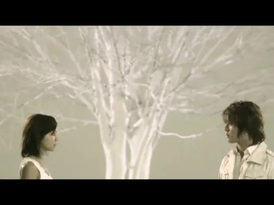 |MV| TVXQ|DBSK - Begin