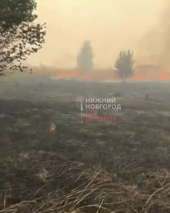 Видео от Нижний Новгород |БЕЗ ЦЕНЗУРЫ|