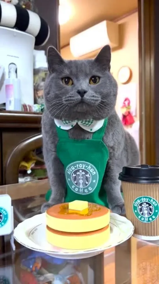 Cat Worker チーム猫松本家