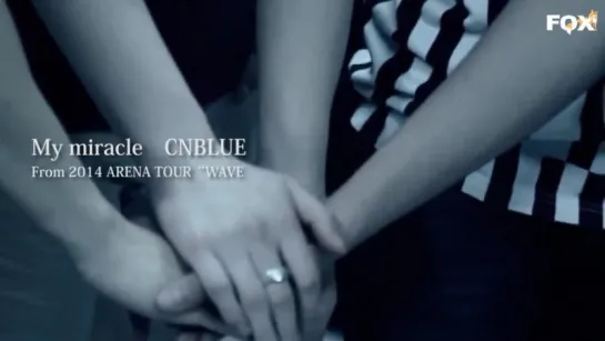 [FSG FOX] CNBLUE - My miracle |рус.саб|