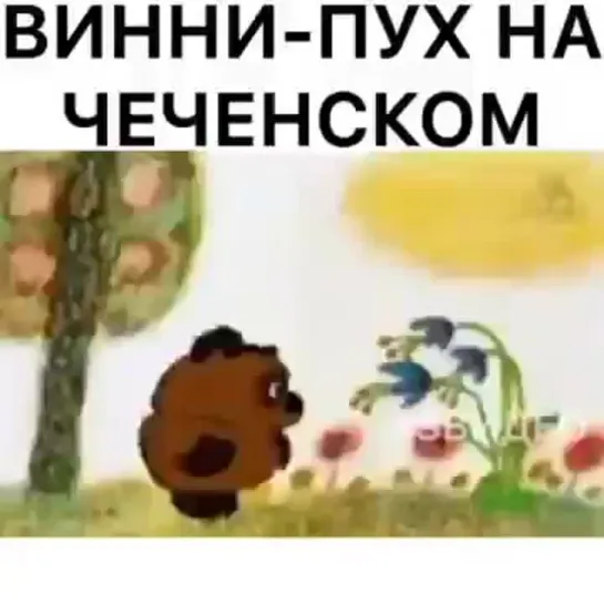 Чеченский Винни