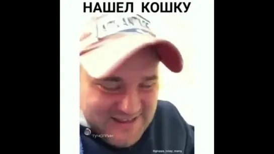 Нашёл свою кошку!