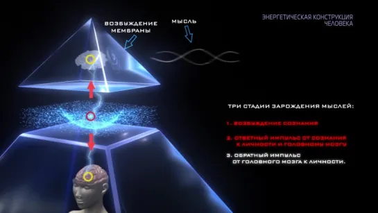 Биоэнергетика. Энергетическая конструкция человека.