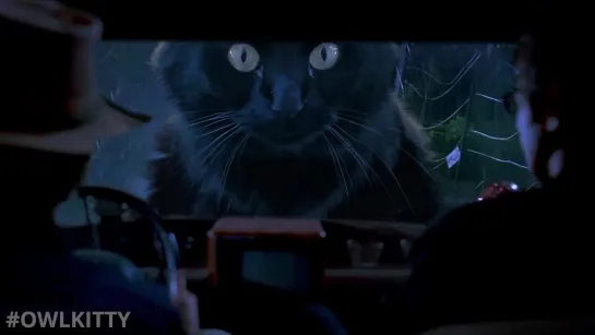 Jurassic Park but with a Cat