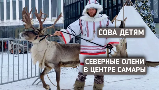 Новогодние программы