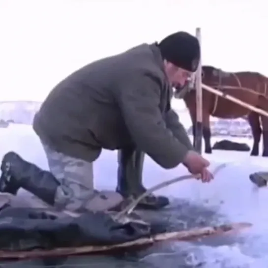 0100 Древний башкирский секрет подлёдной ловли рыбы. Самка щуки как приманка, а привлеченных ею самцов вытаскивают петлёй!