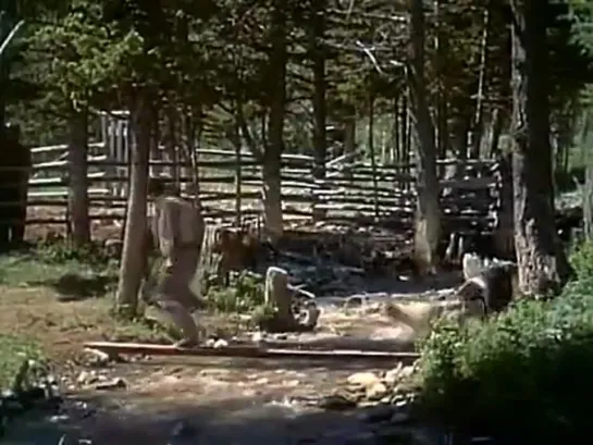 Cattle Queen of Montana - Barbara Stanwyck