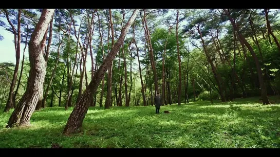 마크툽(MAKTUB)-숲의 목소리 (Voice of the Forest)