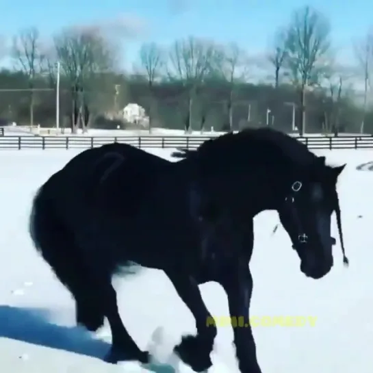 Красавец 👍🏼