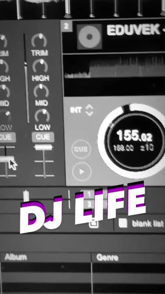 DJ LIFE