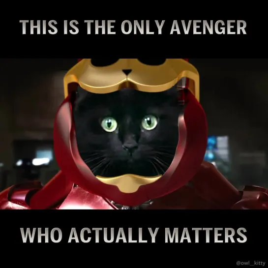 OwlKitty. Iron Man