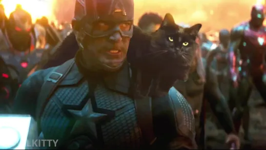 OwlKitty. Avengers Endgame