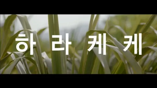 더샘 하라케케 티저 광고 theSAEM Harakeke  2015.09_Teaser