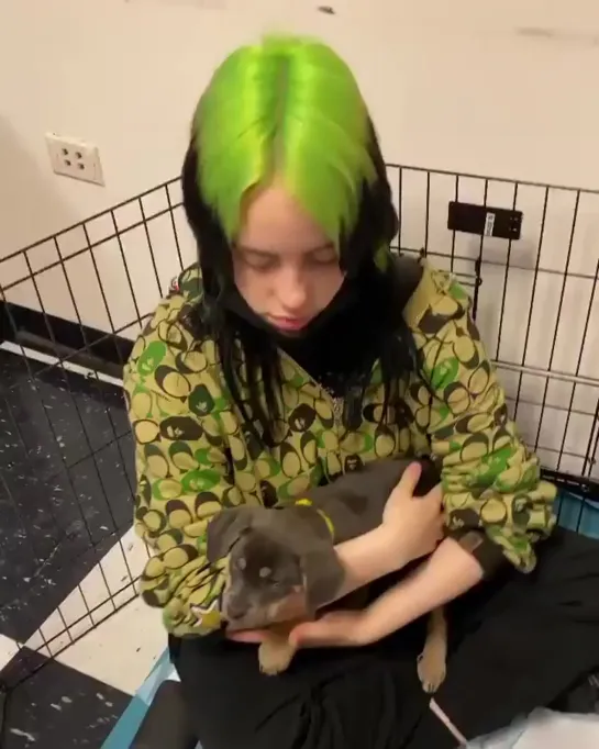 billie with puppies at the venue in raleigh