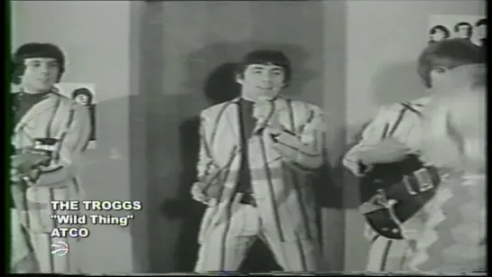 The Troggs - Wild Thing