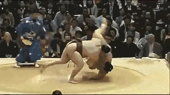 Sumo Uwatenage by Hakuhou