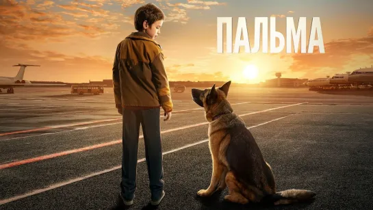 Пальма (трейлер,2021).