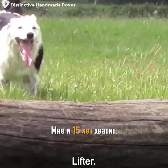 Однажды Господь собрал всех живых существ...(притча)