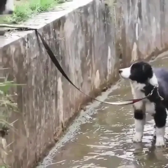 Мама в беде не бросит...