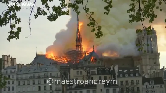 NOTRE DAME DE PARIS.