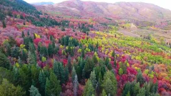 Осенние пейзажи невероятной красоты в долине Огден.