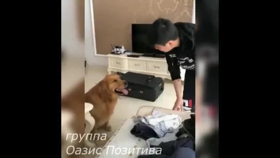 Я еду с тобой!