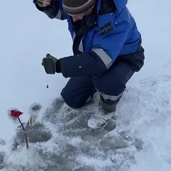 Первая щука сезона!