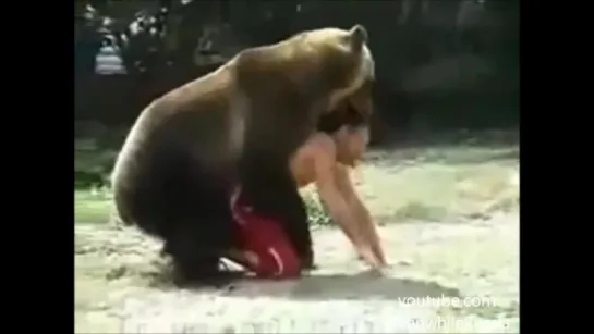 Wrestling with a Bear