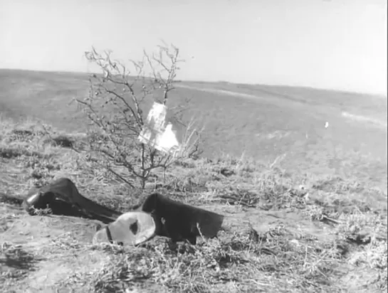 Донская повесть 1964