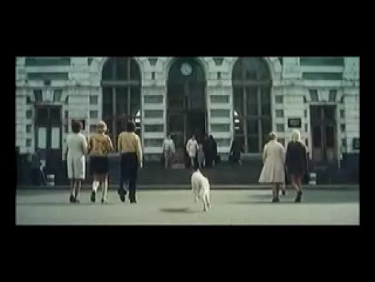 Белый Бим Черное ухо 1976