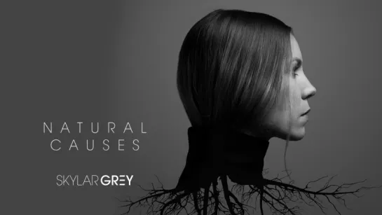 Skylar Grey - Kill For You (Audio) ft. Eminem