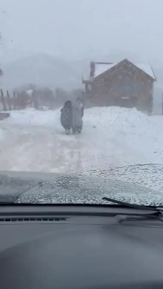 Видео от Александра Иванова