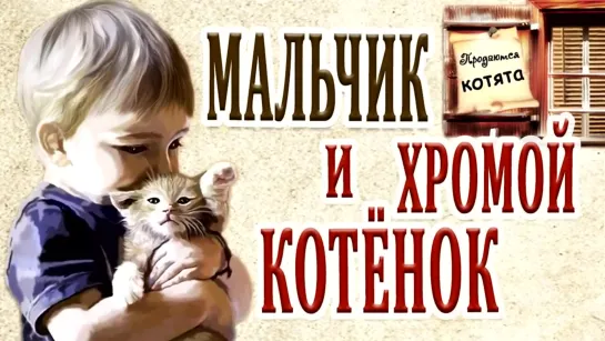 Мальчик и Хромой Котенок! Трогательная История До Слёз