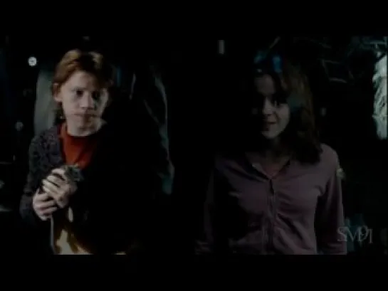 Ron/Hermione || By Your Side || for Joanna