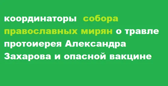 Координаторы СПМ в защиту отца Александра Захарова