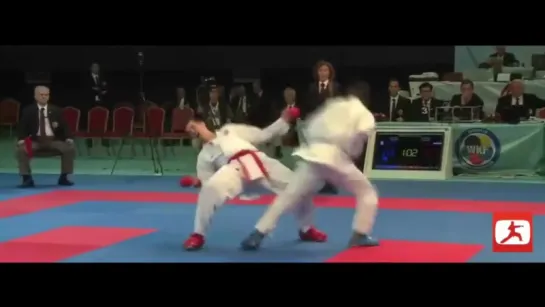 Karate kick каратэ WKF