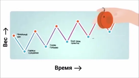 Доходчиво о правильном питании для сжигания жира и набора мышечной массы